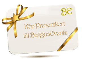 presentkort upplevelser