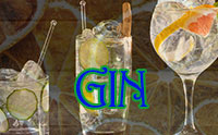 Ginprovning