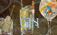 Ginprovning stockholm 2