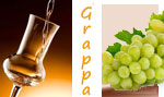 12 grappa