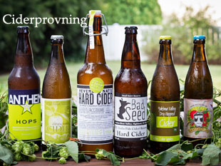ciderprovning_stockholm