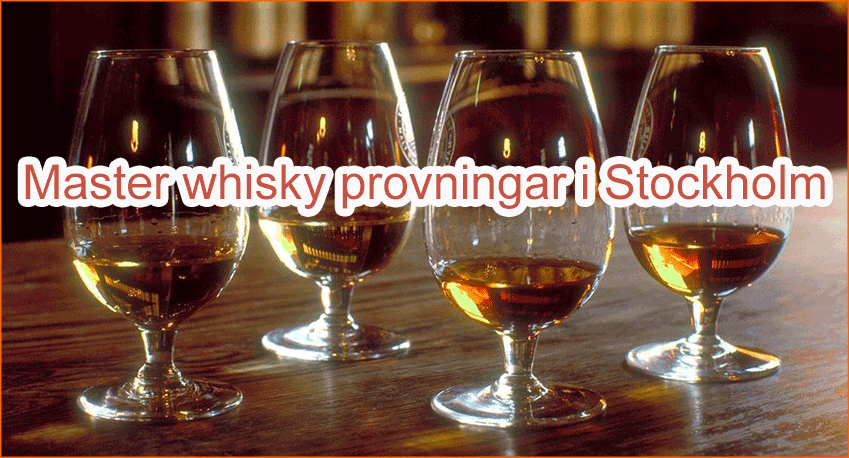 Master whisky provningar i Stockholm Whisky tasting Baggus events Stockholm