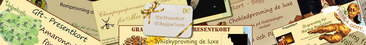 Baggusevents header toppresentkort 4