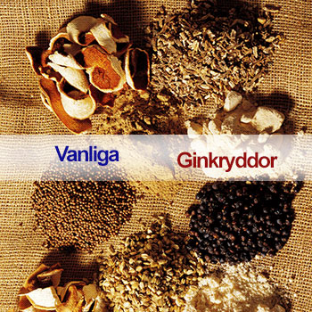 gin botanicals provningar i stockholm