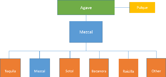 Mezcal Hierarchy