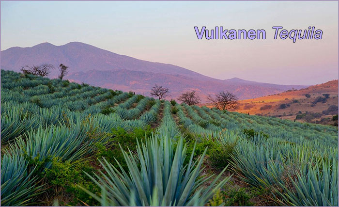 VULkAN tequila