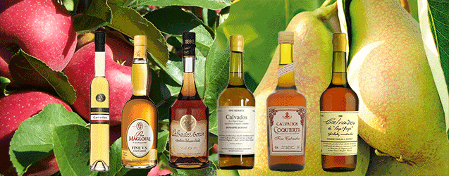 calvados provning stockholm